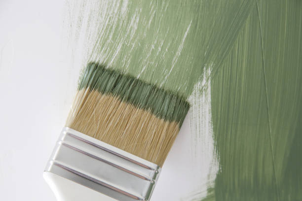 Best Mold Damage Restoration  in South Highpoint, FL