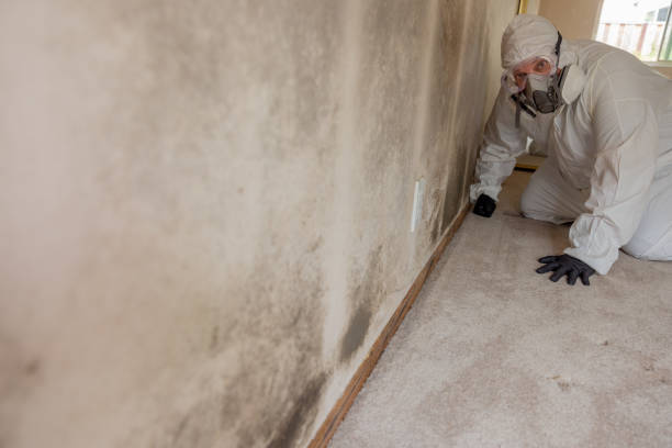 Best Indoor Air Quality Assessment  in South Highpoint, FL